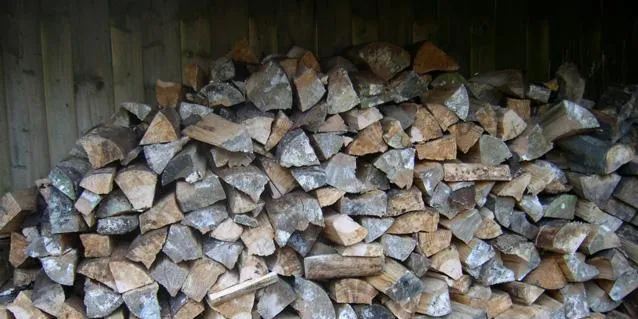 Dong pulls plug on plans for 300MW biomass plant in Hull