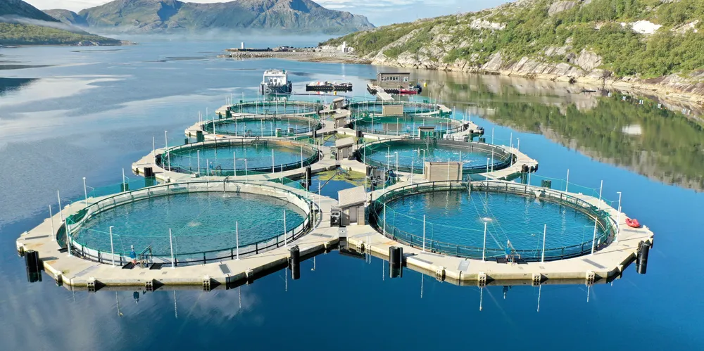 I uttalelsen til Nordland fylkesting vises det til at Akvafuture lukkede anlegg på Sør-Helgeland har hatt så lav dødelighet som 3,4 prosent.