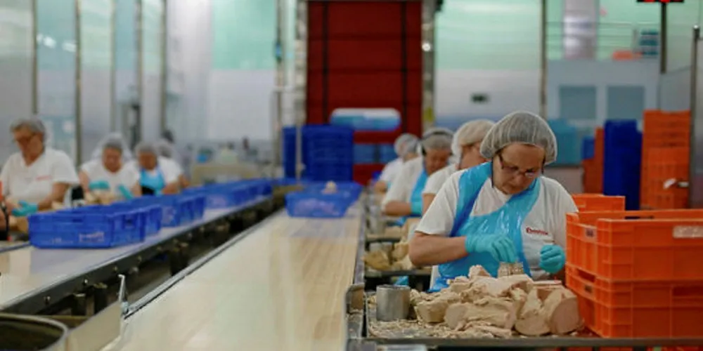 Spanish canner Jealsa joins IPNLF