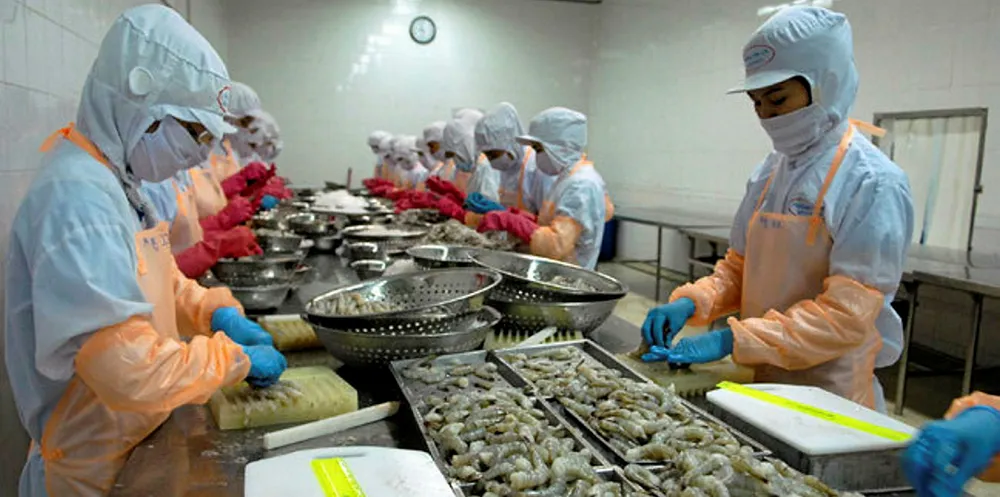 A shrimp processing plant in Vietnam in more optimistic times.