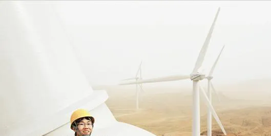 China commits to CO2 target as Copenhagen looms