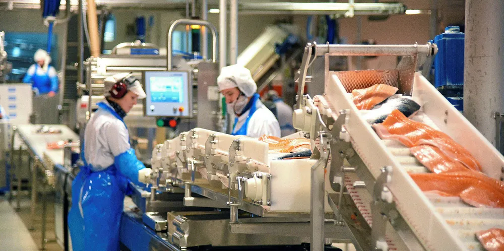 SinkabergHansen bygger ny laksefabrikk på Marøya utenfor Rørvik, og vil dermed nær tredoble kapasiteten sin.