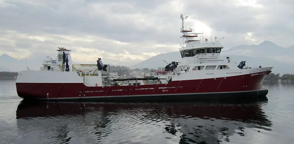 ØKTE INNTEKTENE: Namsos Trafikkselskap , her ved brønnbåten "Viknatrans". Foto: Aas Mek. Verksted/Norsk Fisketransport