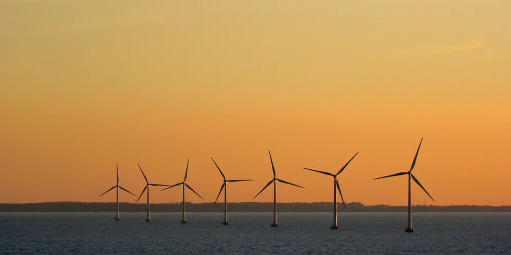 The Vattenfall projects are due to join the Sprogø wind farm in Denmark's near-shore fleet, if political obstacles can be overcome