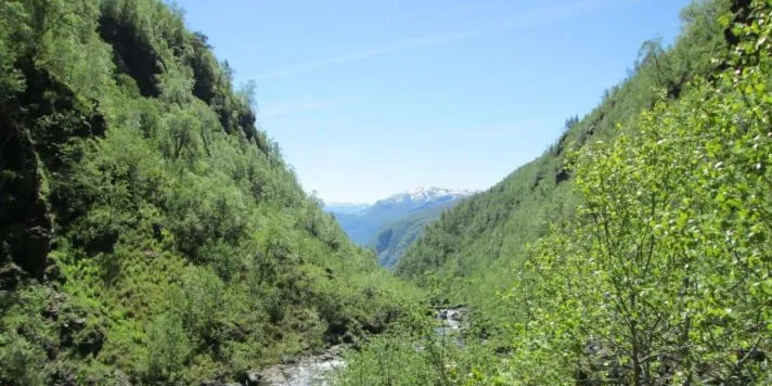 Avslag for Hardanger Energi