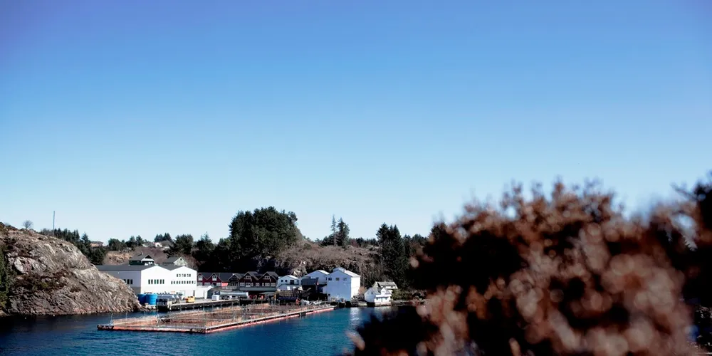 Bremnes Seashore appoints new CEO, CFO