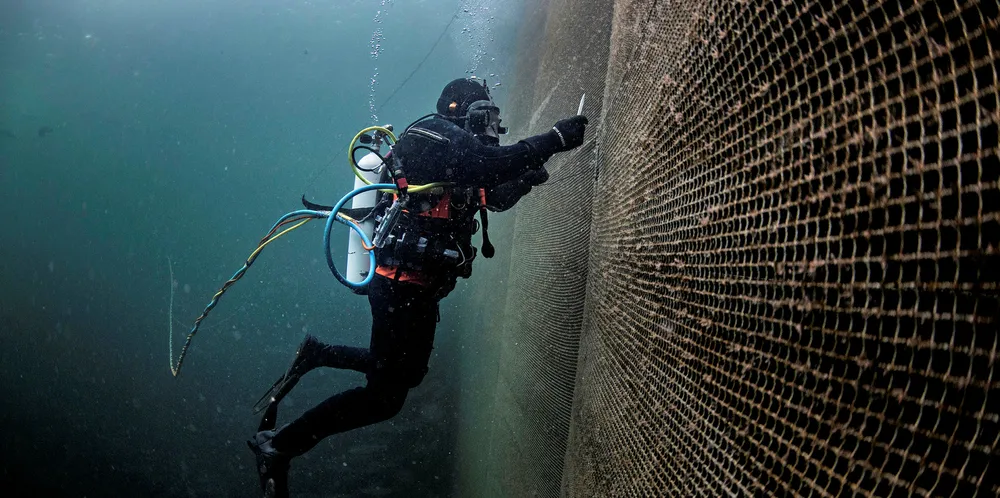 Mowi har fått 6 millioner kroner i støtte til et prosjekt på overvåkning og deteksjon av hull i nøter for fiskeoppdrett.