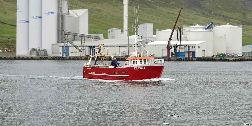 LANDER MINDRE: Fiskeflåten på Island har landet mindre fisk til fiskemelfabrikkene, mens det er fisket mer hvitfisk.