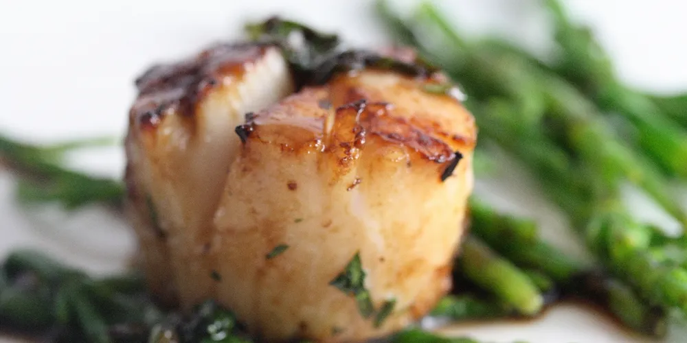 Record prices can’t stop global scallop demand