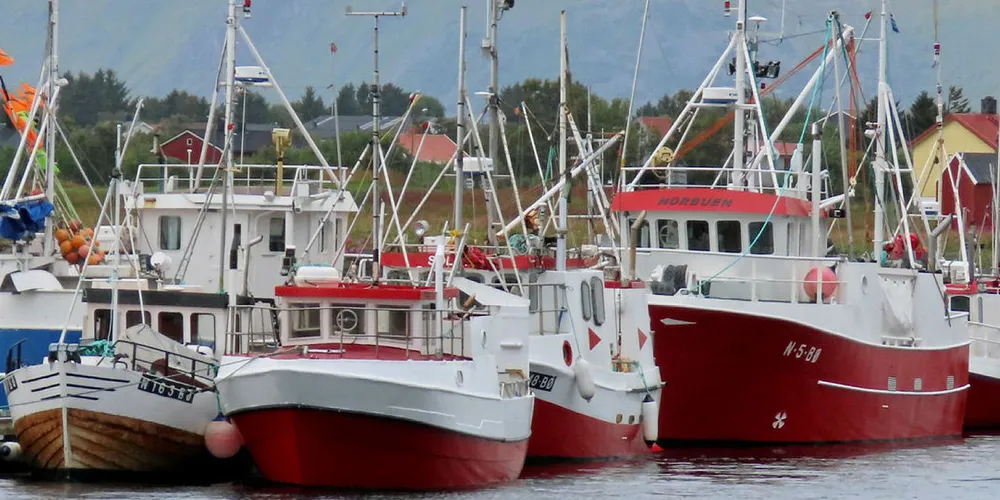 UTGIFTER: En ny rapporteringsordning for den minste fiskeflåten vil føre til både utgifter og ekstra arbeid for fiskerne, blant annet her i Steinesjøen i Vesterålen.