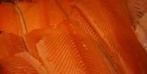 Danish fish farmers praise MIP ruling