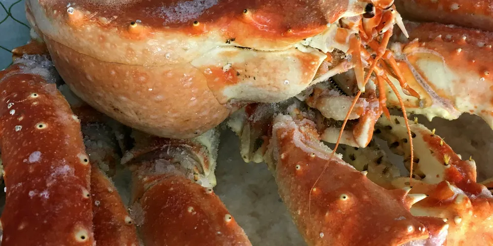 Russian red king crab on display.
