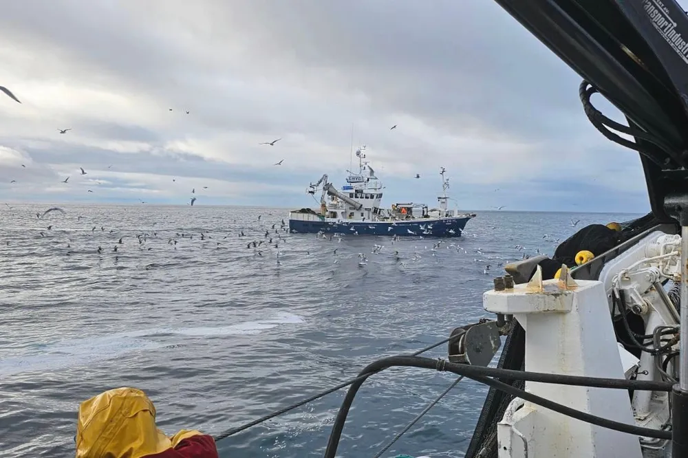 Flere av næringens organisasjoner mener deltakelsen i kystflåtens loddefiske må begrenses og lukkes. Fiskeridirektoratet vil heller ha på plass en rulleringsordning. Her fra loddefisket om bord «Andopsværing» i mars 2024.
