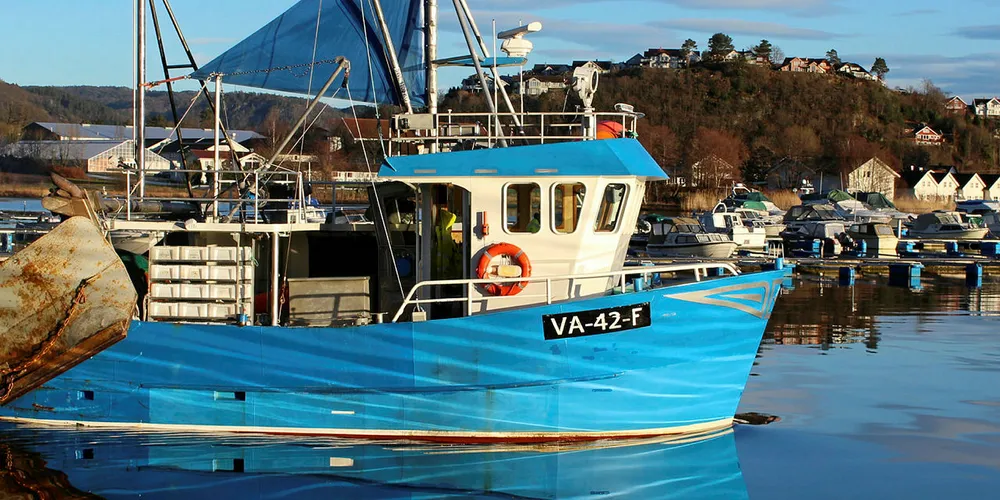 GODT REKEFISKE: Rekeflåten i sør, her representert med «Sienna» av Flekkefjord, hadde landet om lag 3100 tonn reker, derav 1497 tonn kokt, per uke 31.