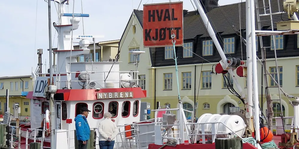 Den gamle hvalfangstskuten «Nybræna» til kai i Harstad. Foto: Jon Eirik Olsen