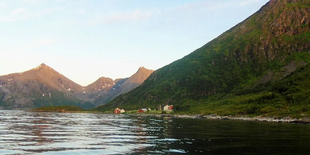 SESSØYFJORDEN: Karl Alberth Hansen hos Karls Fisk og Skalldyr har bedt båtene om å unngå å fiske i Sessøyfjorden. Arkivfoto: Siv Helen Hermannsen