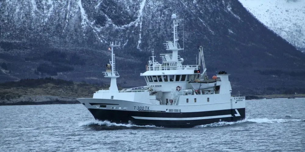 HØST-SEI: Senja-båten «E. H. Senior» er for tida på jakt etter sei med not utenfor kysten i grensefarvannet mellom Troms og Finnmark. Arkivfoto: Willy Hauge.