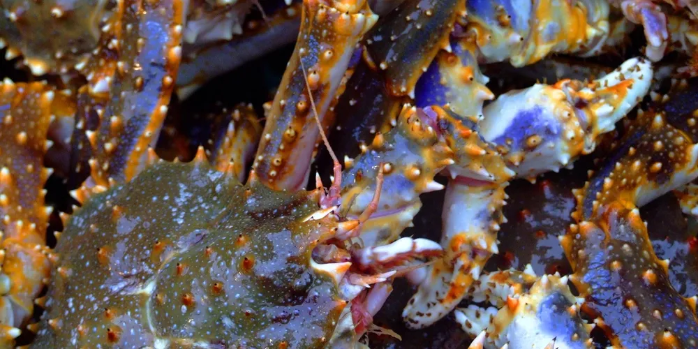 Photo: UAF Seagrant