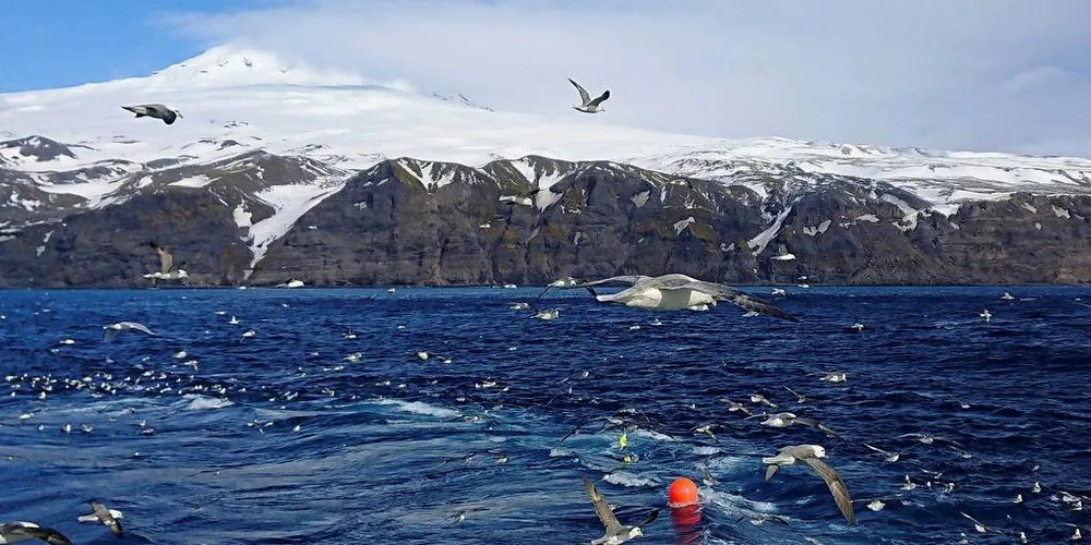 RIKT HAV: Ikke bare er området ved Jan Mayen rikt på fisk - på havbunnen finnes også verdifulle mineraler. Her fra kartlegging av torskeforekomster med fartøyet «Geir II».Foto: Audun Hjertager / Havforskningsinstituttet