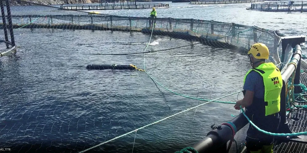 Nova Sea har vært kunde av Seanest helt siden starten, og var også med på storskala-testen av 100 slike skjul i 2018.