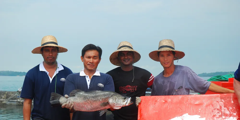 VIDEO: Singapore barramundi makes the menu at high-end Boston restaurant