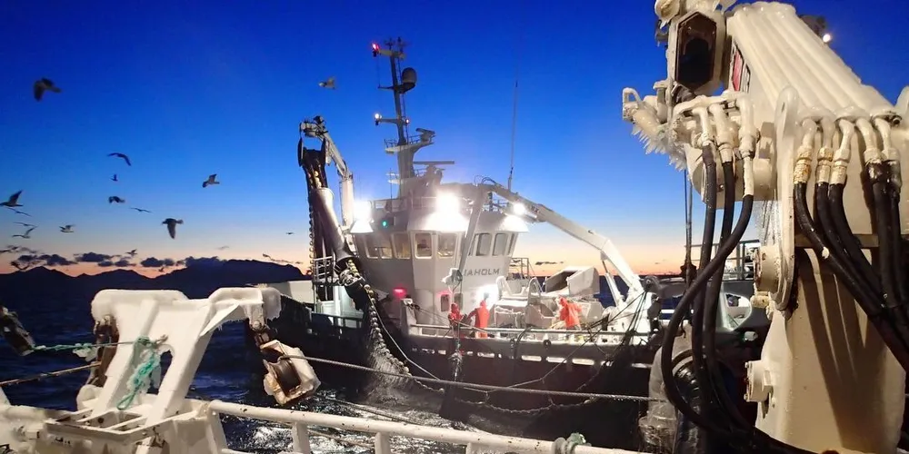 PÅ VEI: Alt tyder på at NVG-silda er på vei inn mot kysten etter samme mønster som i fjor. Men interessen fra næringa er ikke like stor i år. Foto: KV Barentshav.