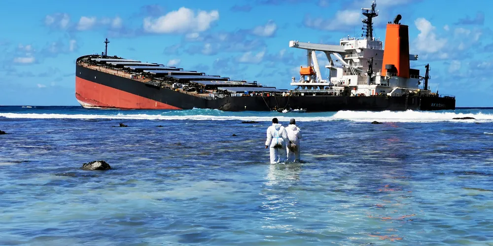 P&I clubs are talking to salvors about a code of conduct for wreck removal tenders, such as the one for the 207,000-dwt Wakashio (built 2007).