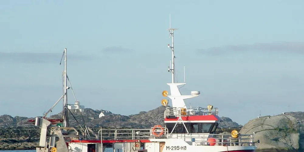 «Solbjørn» (tidligere «Sandy») driver nå blandingsfiske i Vestfjord-området. De siste sjøværene har sei vært største innslag i fangsten. (Foto: fiskeri.no)