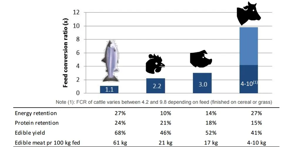One picture proves fish is the most sustainable farmed protein