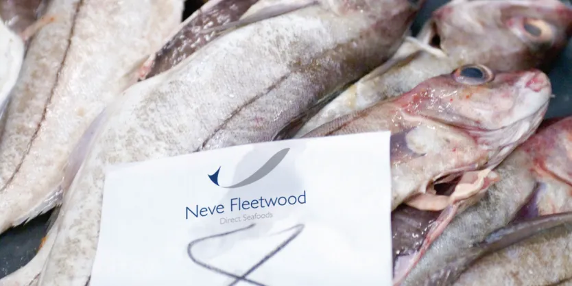 PHOTO: Seafood Holdings