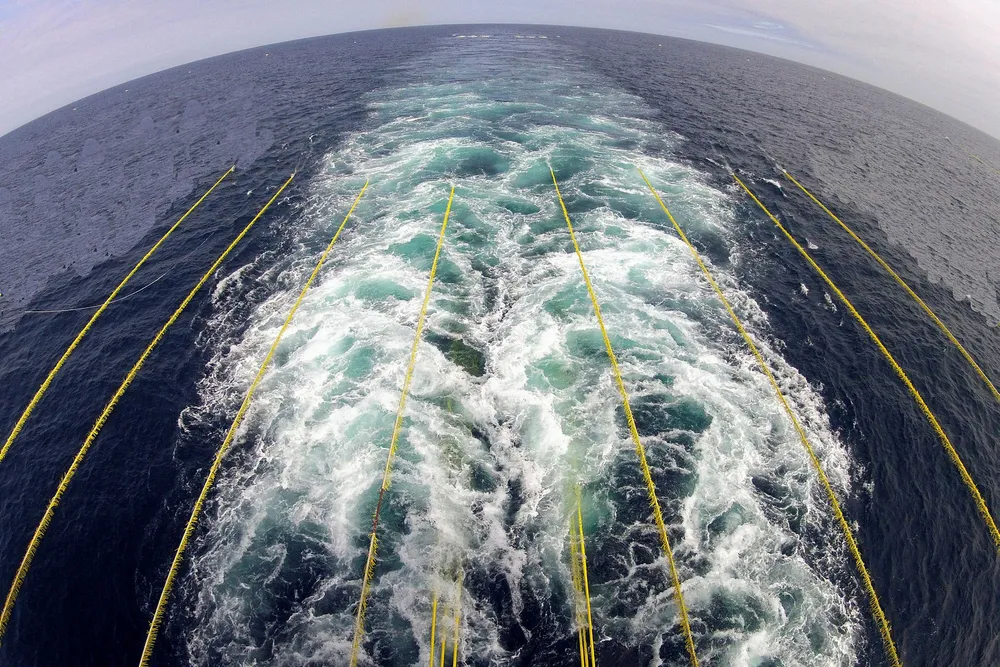 Seismic trawl: for Shearwater