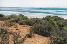 Looking offshore: in Western Australia