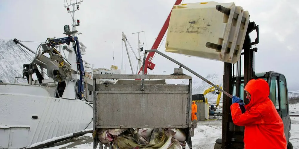 Mange journalistene mener fiskeri og havbruk er komplekse fagfelt, som krever erfaring og spesialisert innsikt. Illustrasjonsfoto: Ingun A. Mæhlum