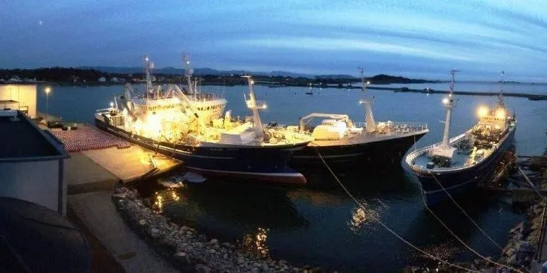 Etter at Norges Sildesalgslag har justert utbudsområde for fangster tatt nord for 60-graden, får Grøntvedt Pelagic på Uthaug mulig til å by på mer nordsjøsild. Foto: Grøntvedt Pelagic