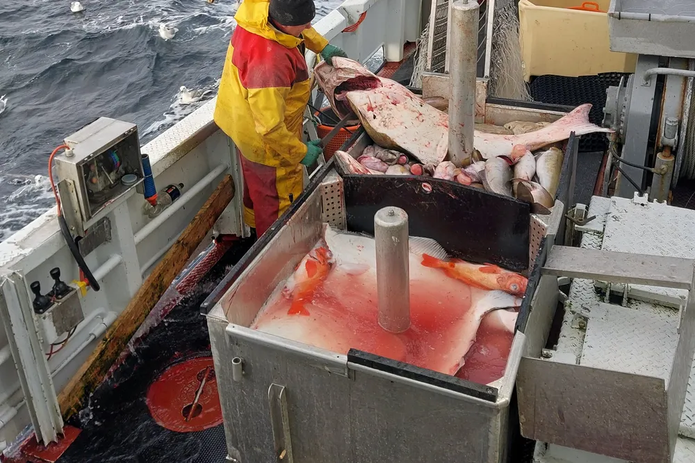 Daniel Fjeldskår og kona Marie Emilie Fjeldskår har åpnet fiskebutikken «Fiskerfruen» på Jæren. Kveitefiske. Daniel Fjeldskår.