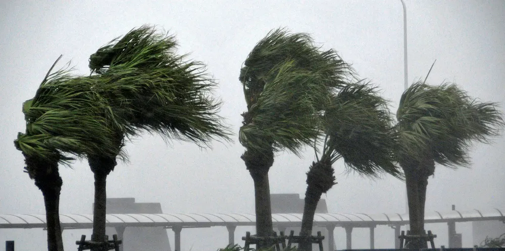 Roadside trees are blown by strong winds in Miyazaki, Japan's southern island of Kyushu on October 12, 2014.
