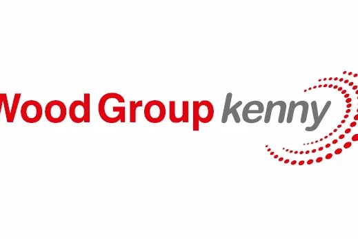 Wood Group Kenny: the subsea specialist has been awarded a contract to assist Saipem with a riser system for the Sapinhoa North field off Brazil