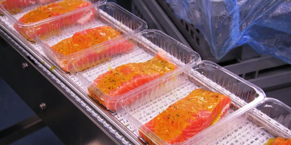 Salmon to prevent sunburn?
