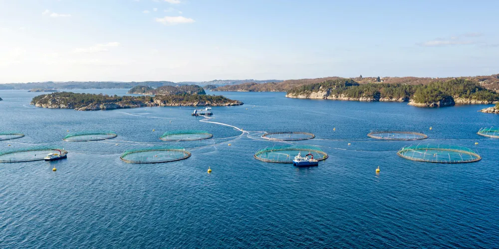 Lerøy Seafoods visningssenter på Flatøyflu.