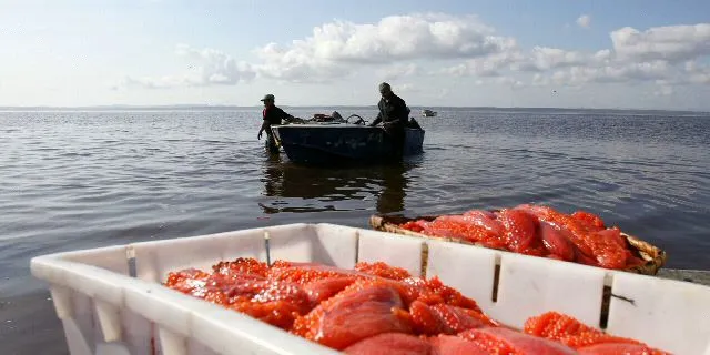 To some, Russia-EU food dispute is proof of politics
