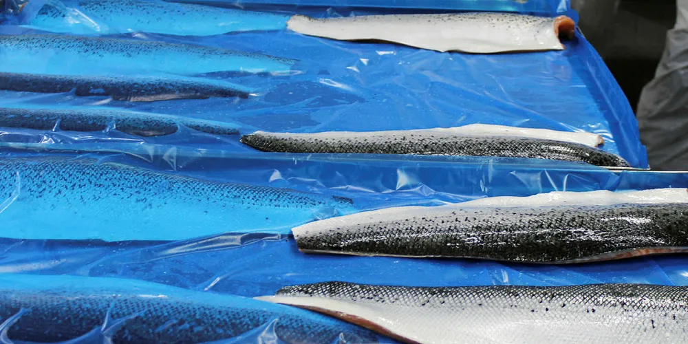 Blumar and Multiexport building salmon plant in Magallanes