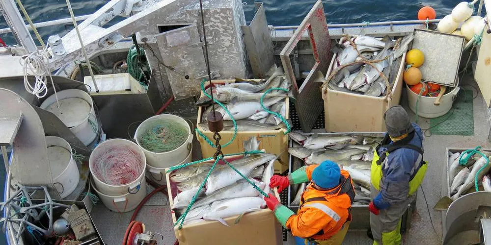 ENNÅ TID: Har man planlagt å starte fiskeriåret 2019 i Lofoten, som her, er det ennå tid til å få fartøyinstruksen i orden for sjarker som egentlig har frist til 1. januar.Foto: Jon Eirik Olsen