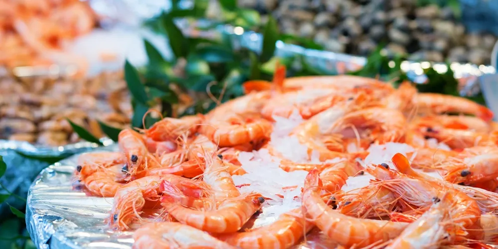 New shrimp venture to stir up Belgian wholesale market