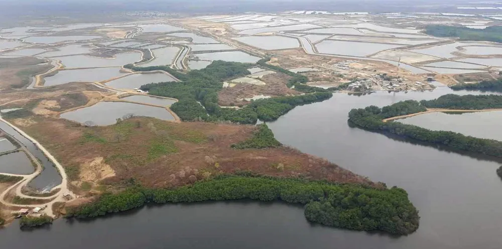 Producers say the rainy season in Ecuador is getting worse because of the presence of El Nino.
