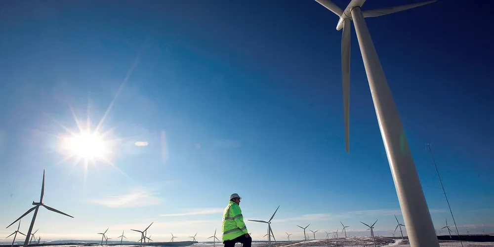 SunEd proposes 600MW wind farm in Maine bonanza