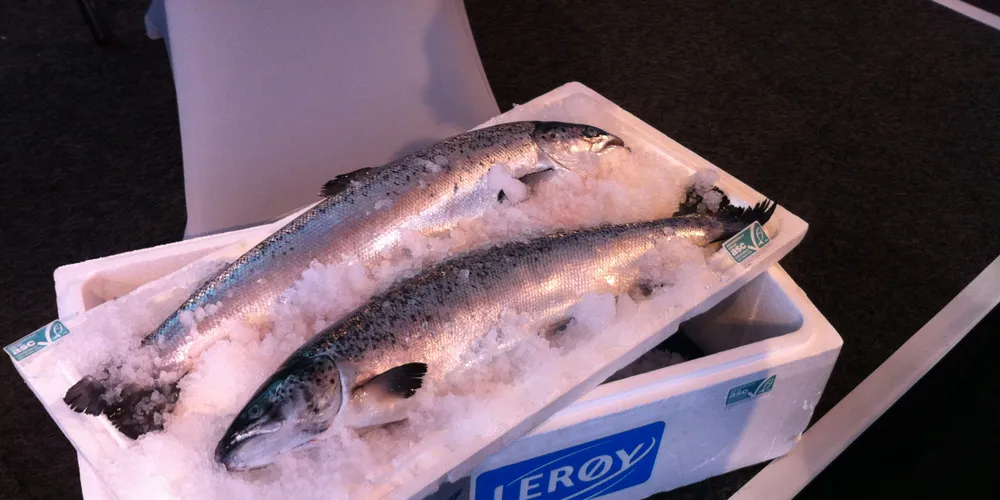 Møter økt miljøkrav fra markedet