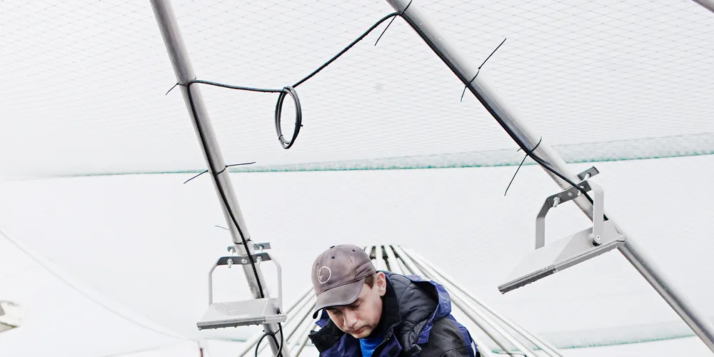 SalMar: We're not interested in Cermaq