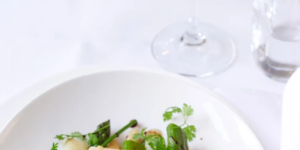 Spanish cod market recovers, spurred by low prices