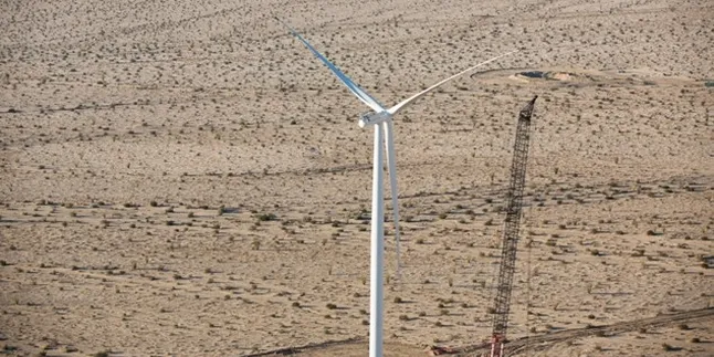 Pattern ups stake in El Arrayan