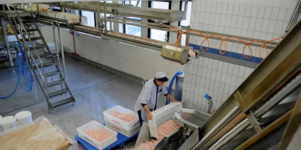 FLERE BEIN: Rekefabrikken Finny Sirevaag i Åna-Sira har slitt med å få tak i nok råstoff. Nå kan noe av råstoffet som tidligere er blitt behandlet som avfall gå til melproduksjon.Foto: Kjersti Kvile